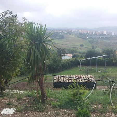 Le Querce Bed and Breakfast Ancona Exteriör bild