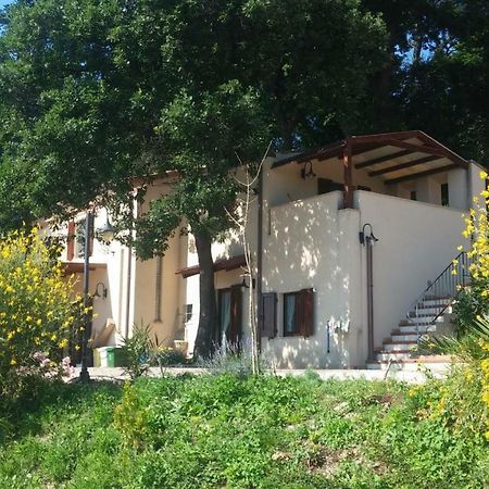 Le Querce Bed and Breakfast Ancona Exteriör bild