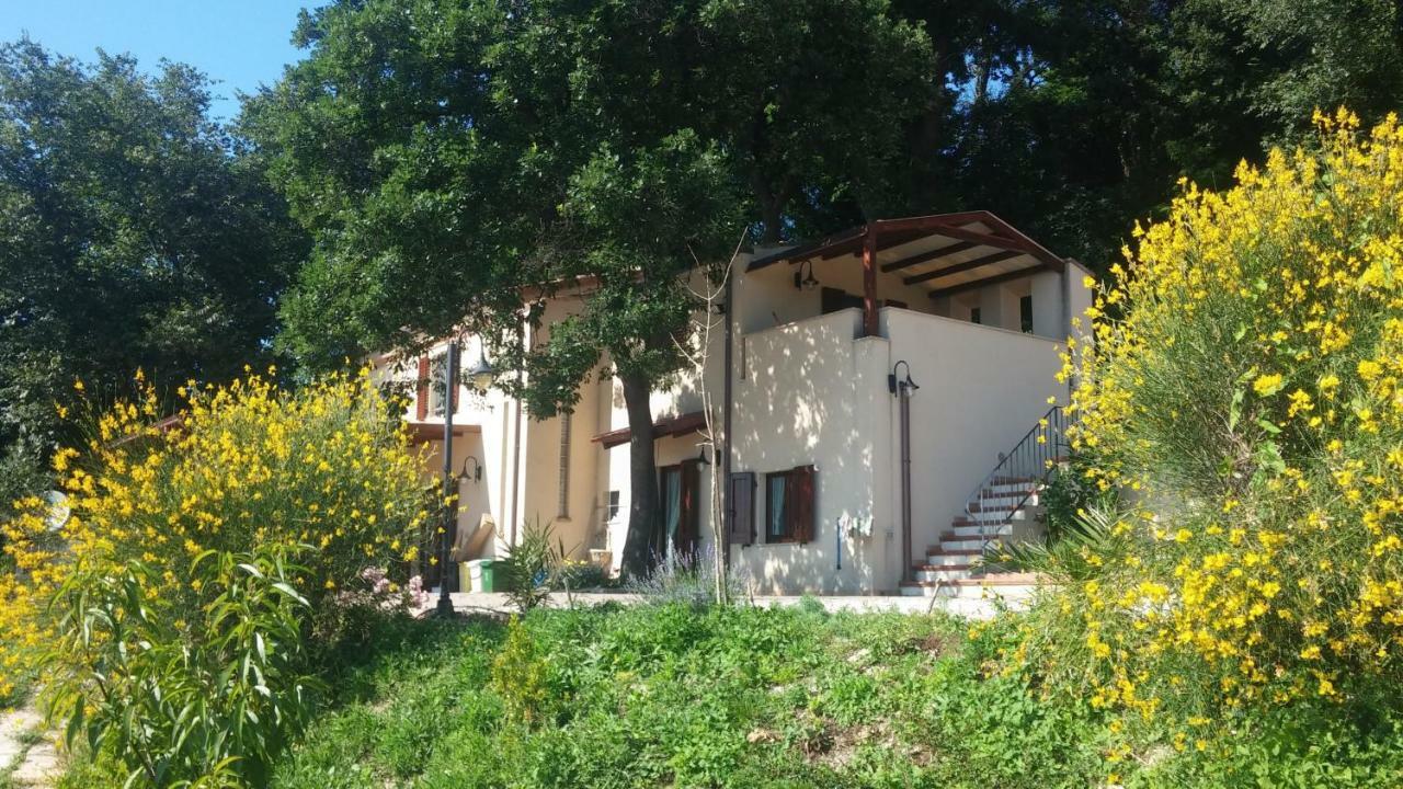 Le Querce Bed and Breakfast Ancona Exteriör bild